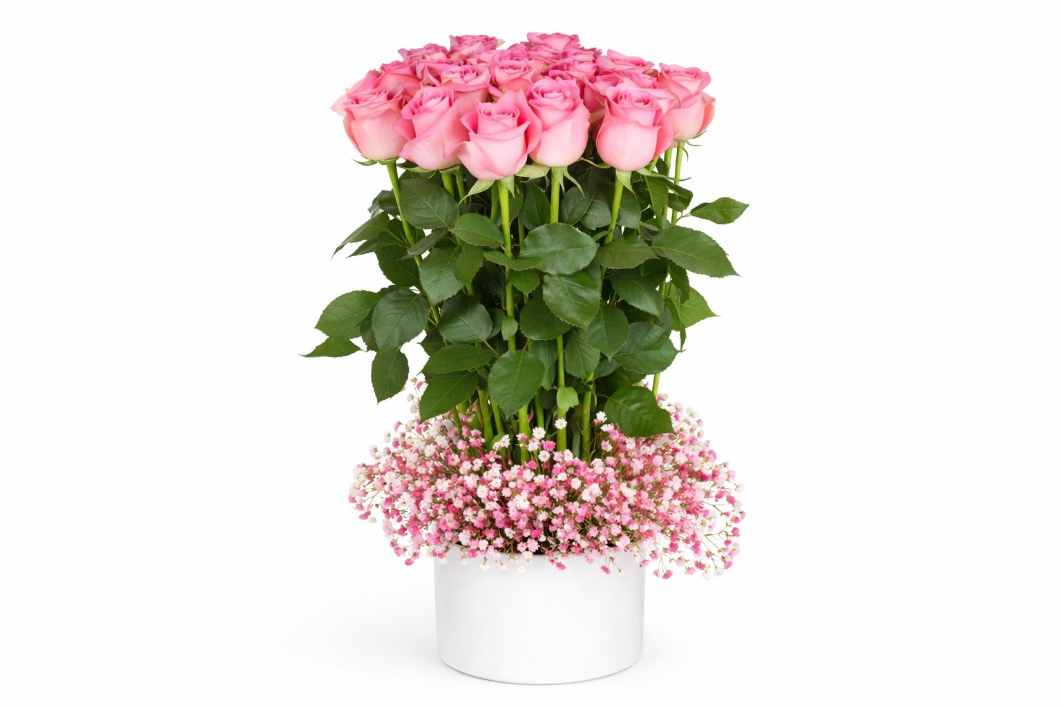 Pink Rose 18
