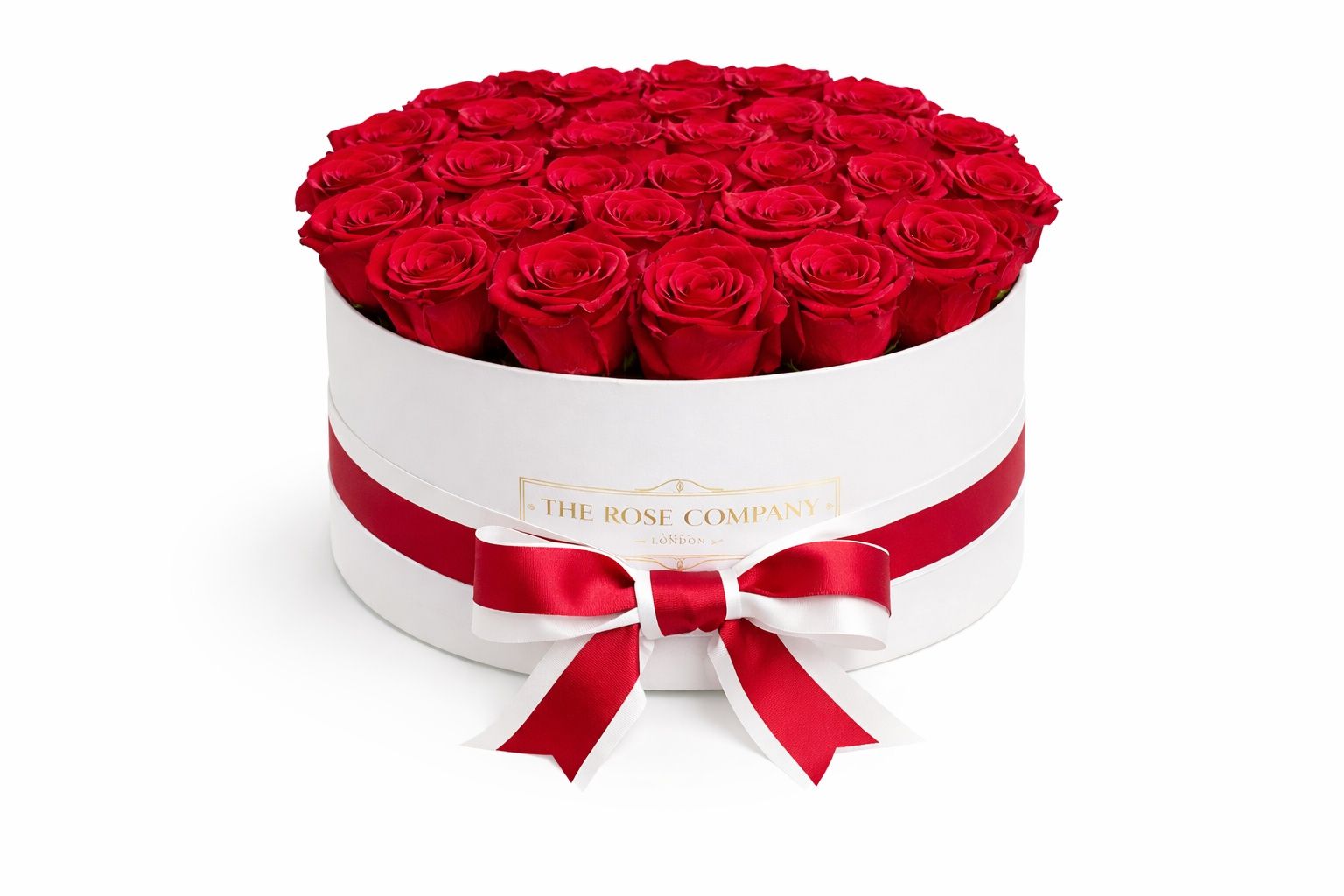 Red Rose 25