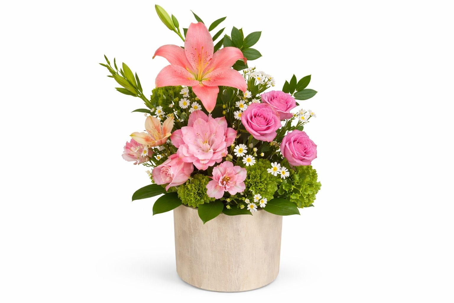 Pink Rose 11