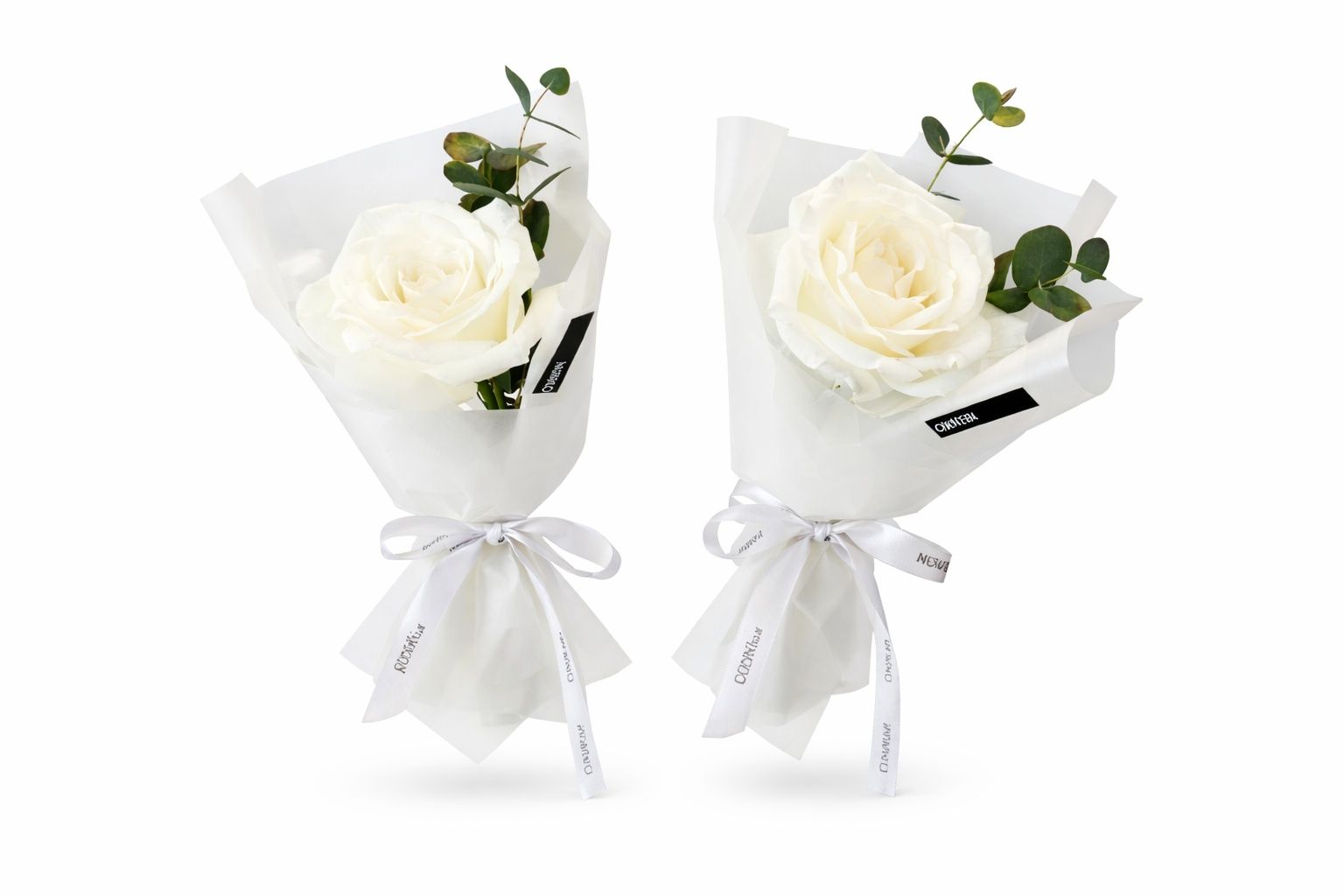 White Rose 1