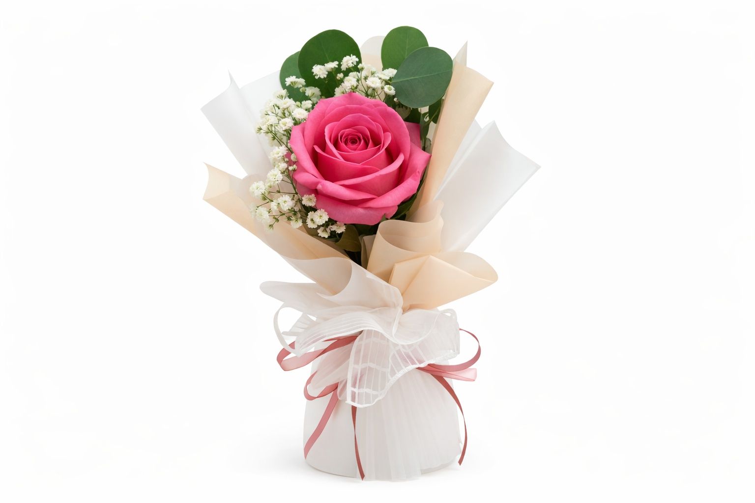 Pink Rose 1