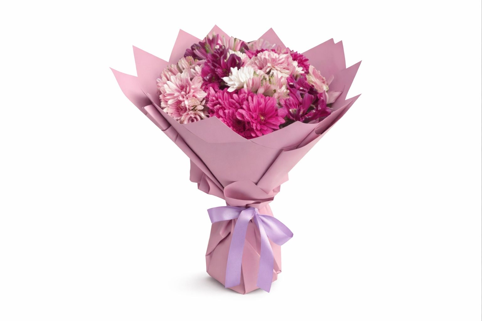 Pink Rose 4