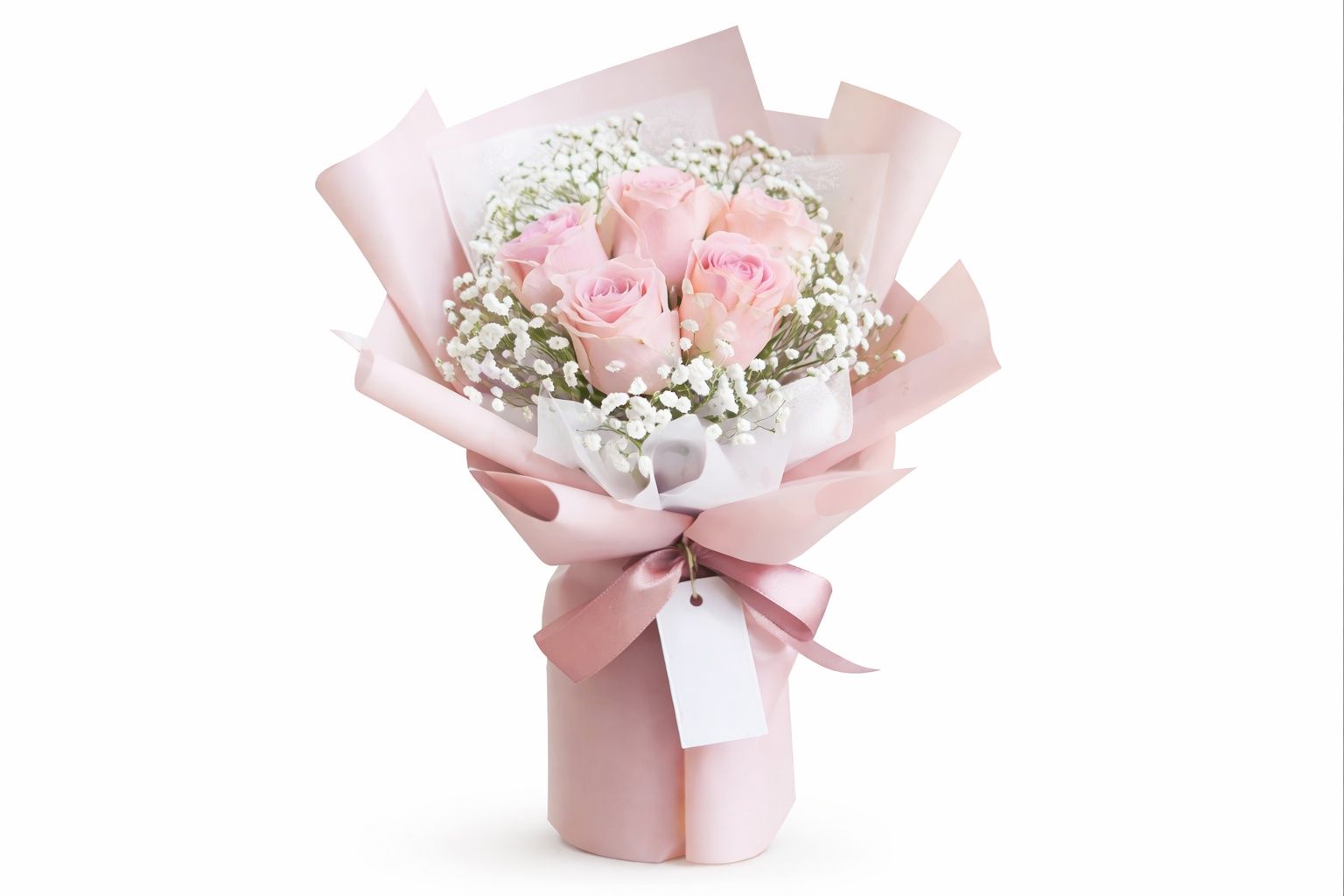 Pink Rose 3