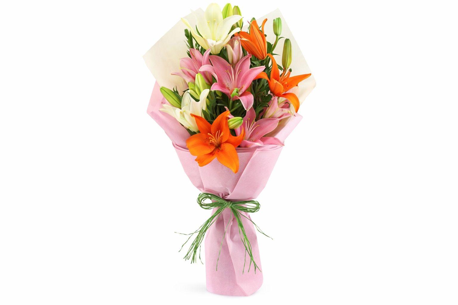 Orange Rose 4