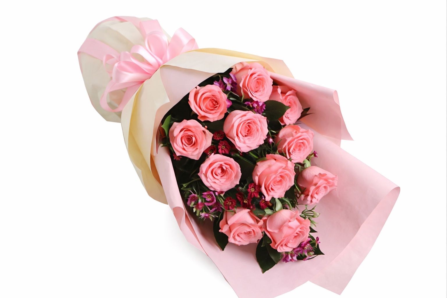 Pink Rose 7
