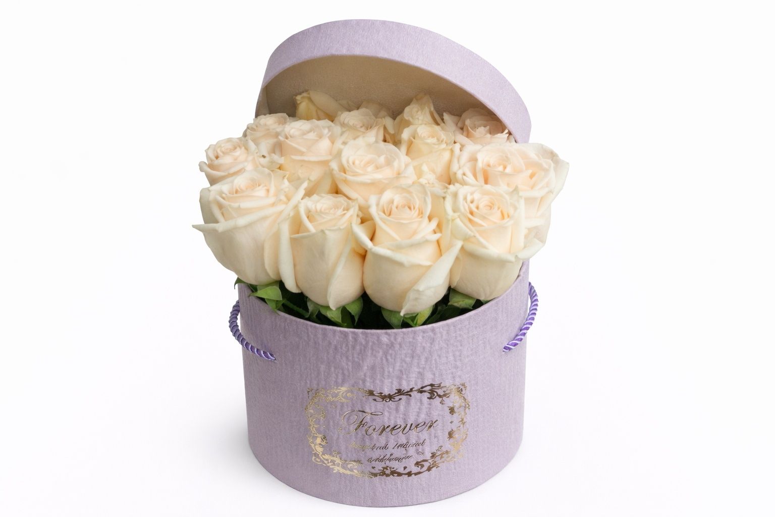 White Rose 8