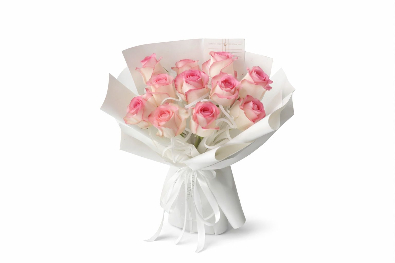 Pink Rose 8