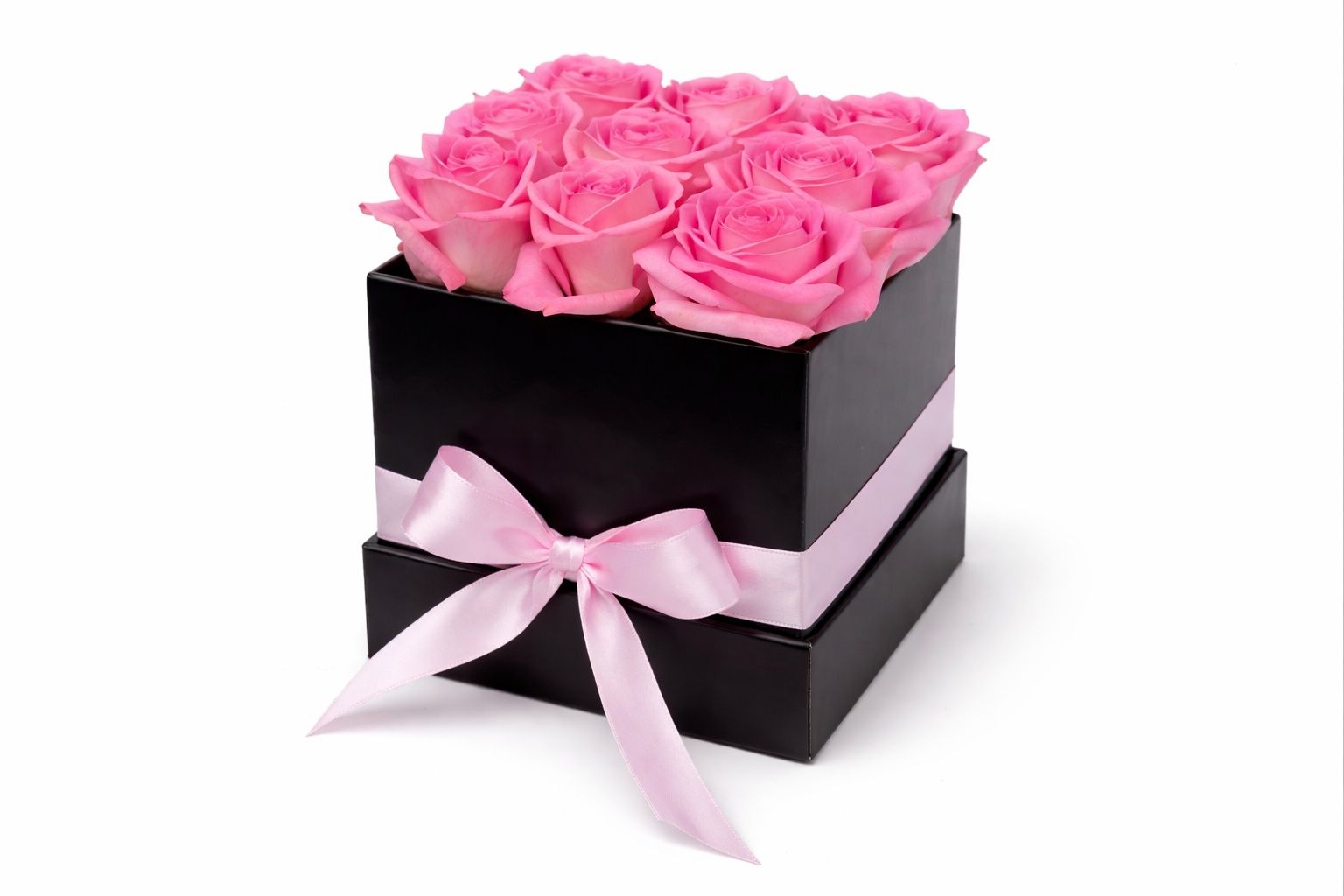 Pink Rose 12
