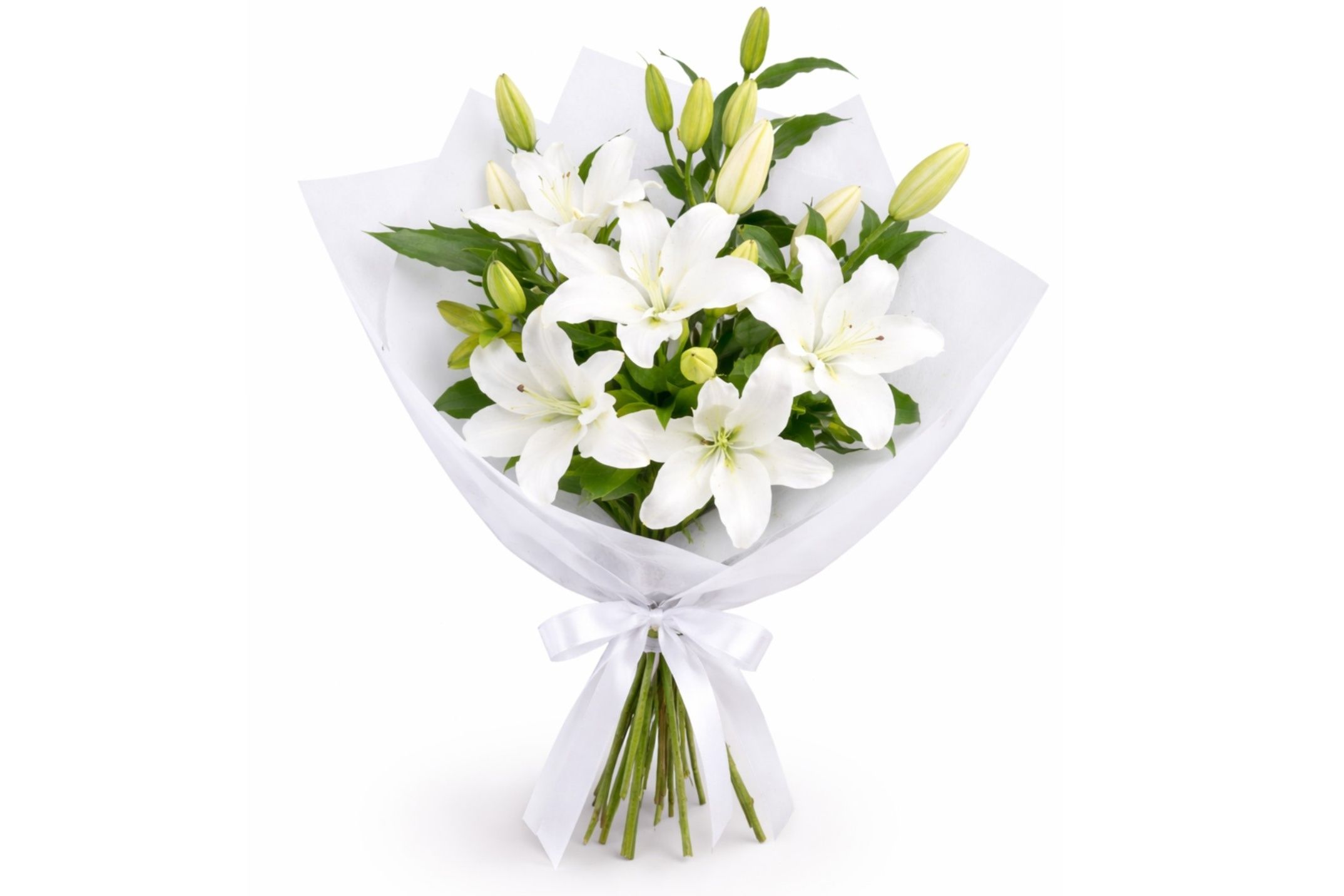 White Rose 11