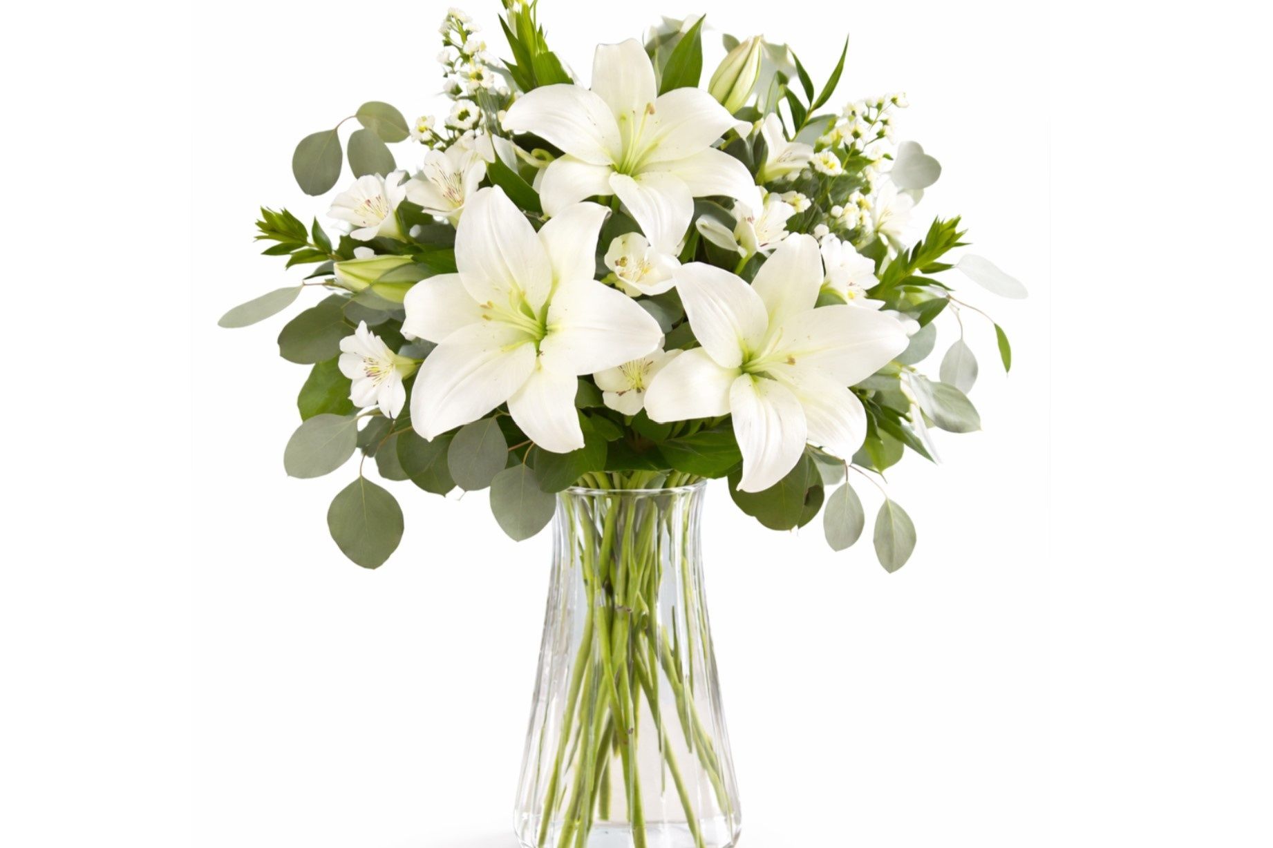 White Rose 13