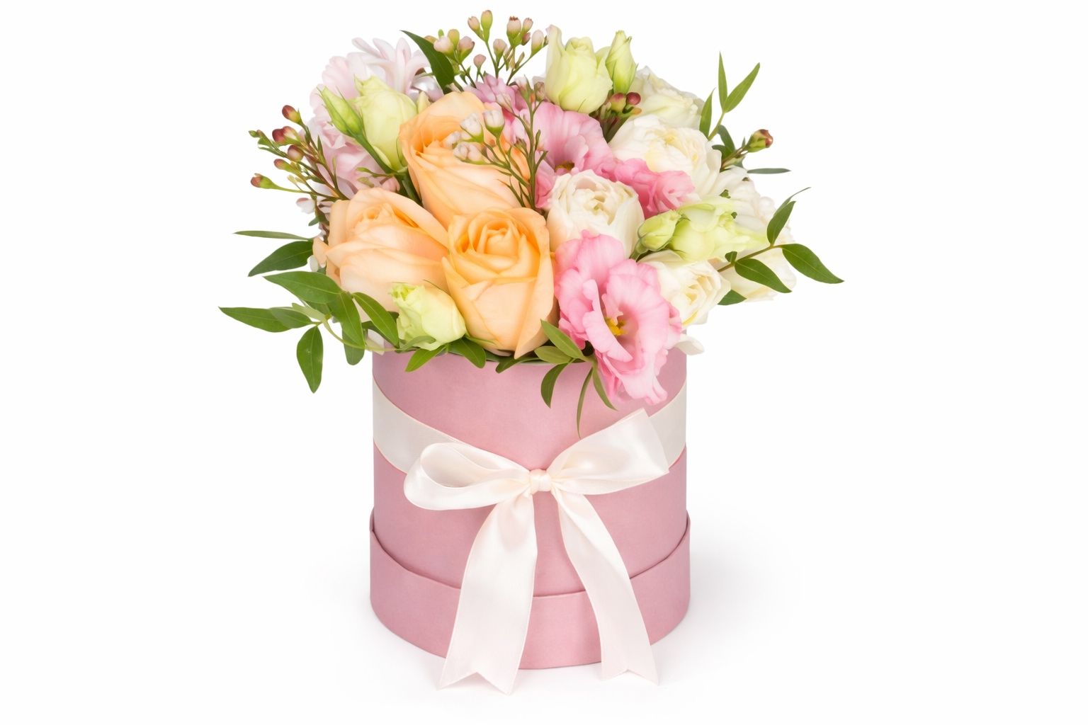 Peach Rose 2