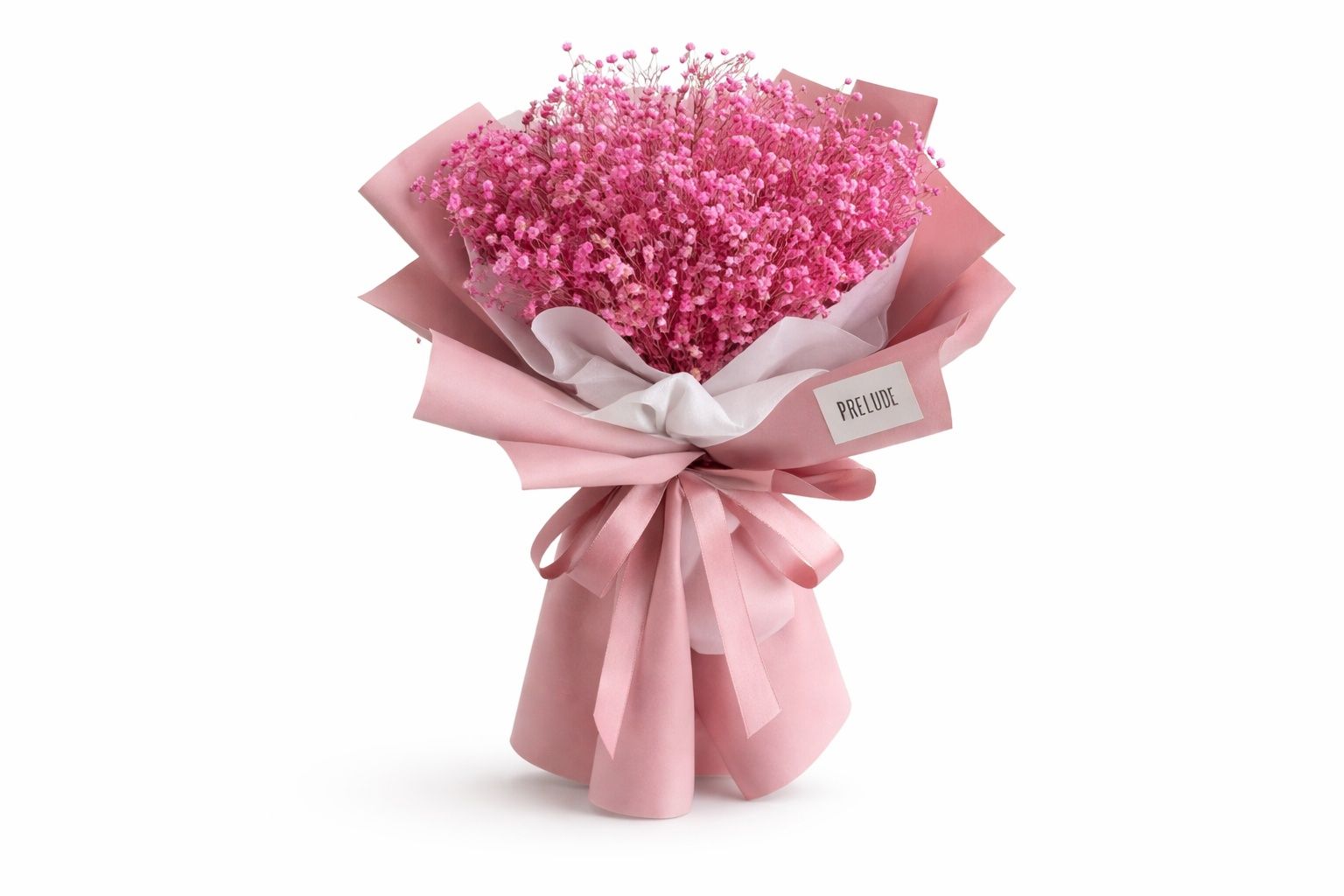Pink Rose 10