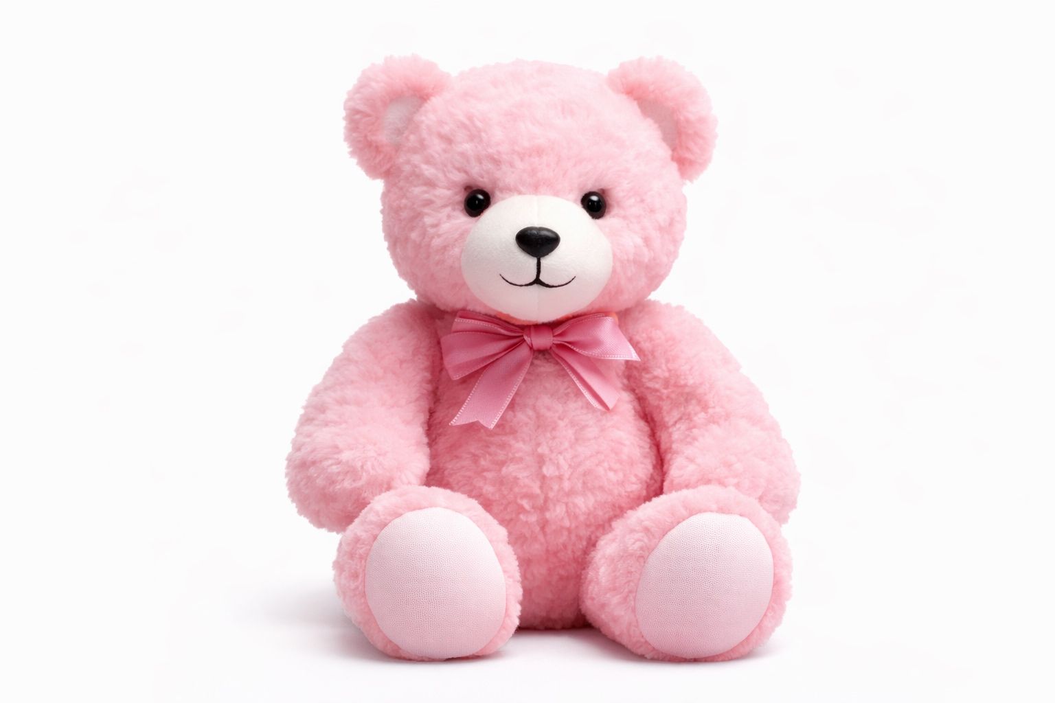 Teddy Bear 5