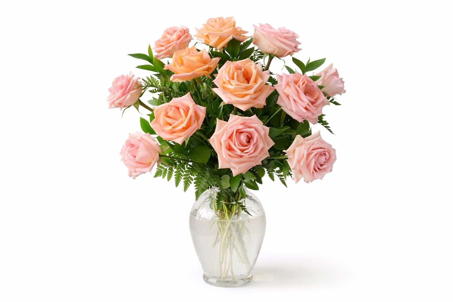 Peach Rose 4