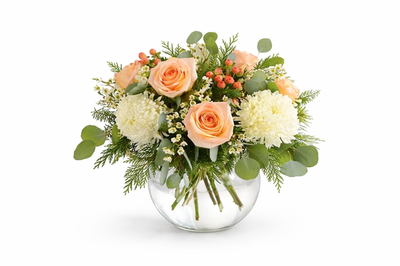 Peach Roses 3