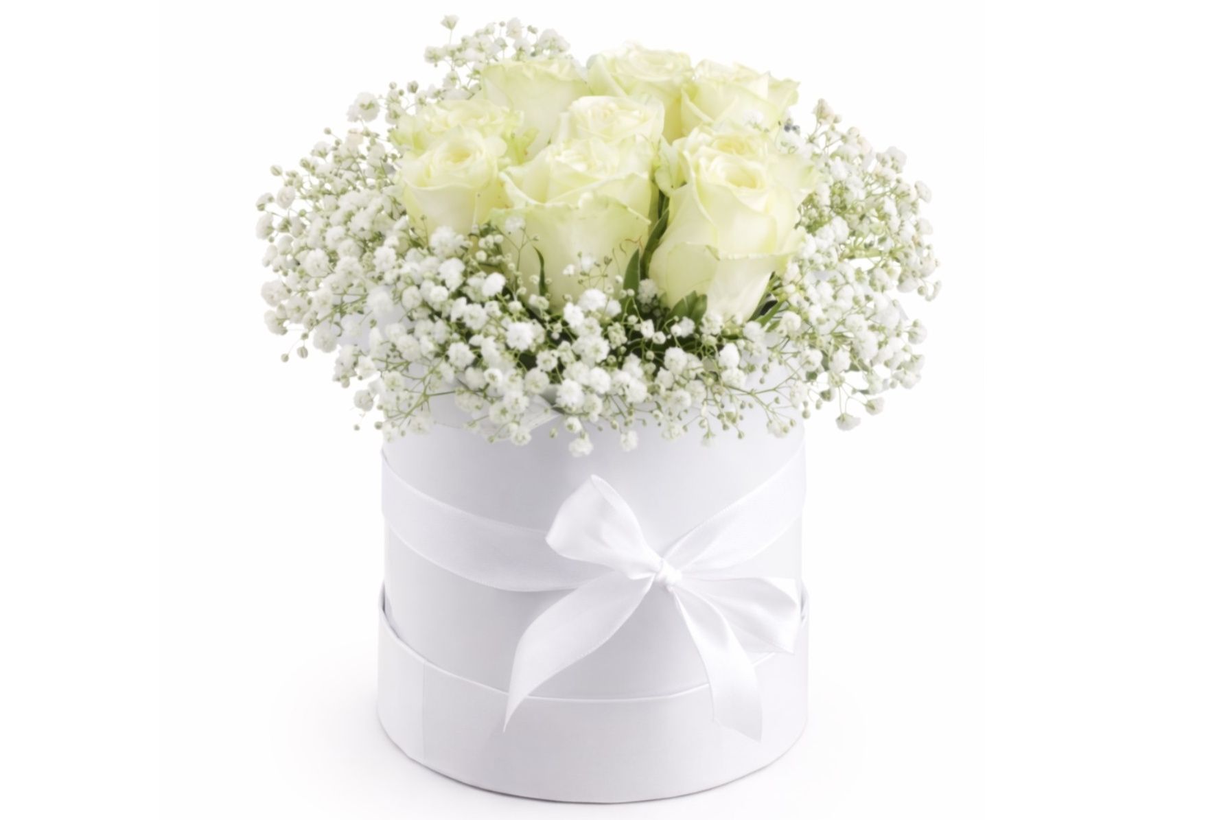 White Rose 6