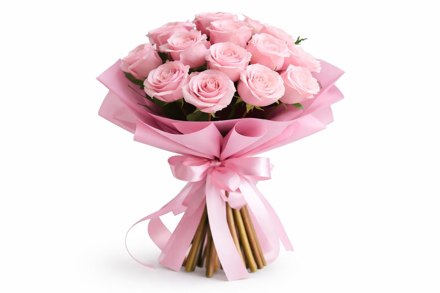 Pink Rose 5