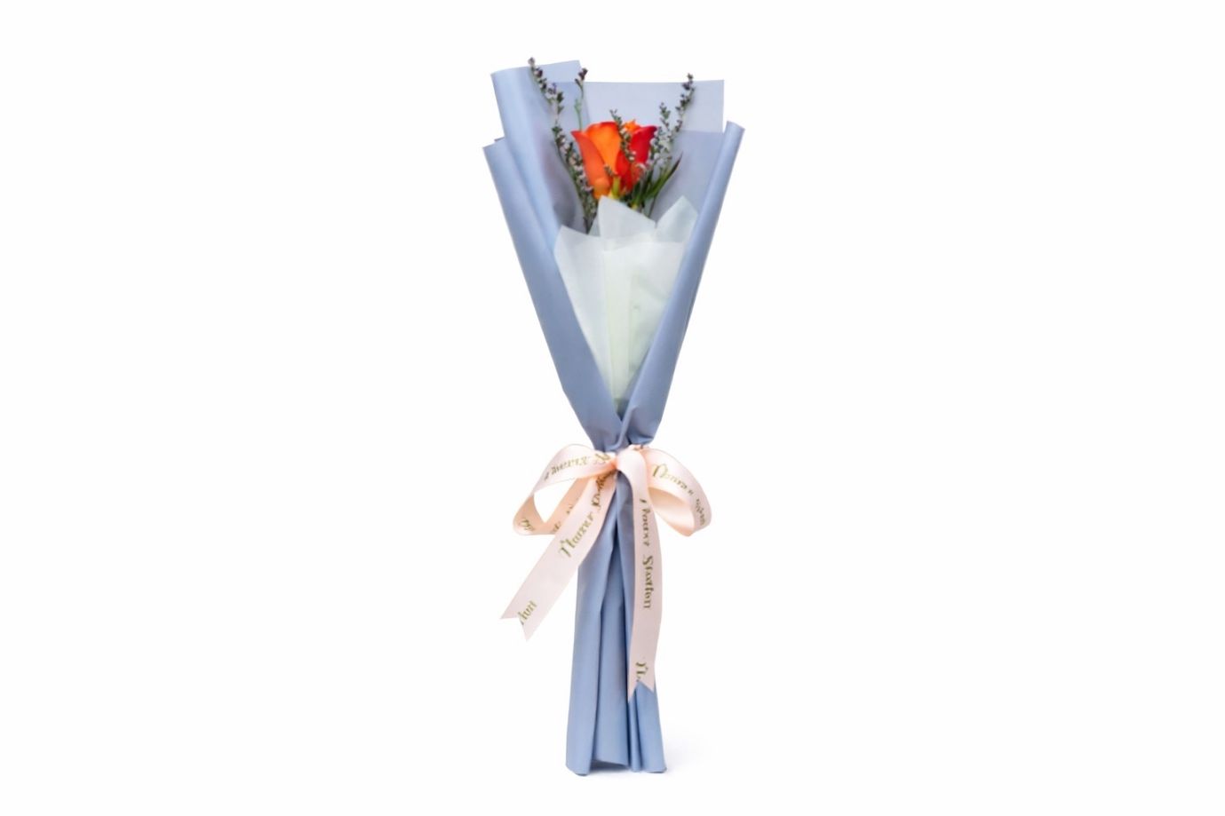 Orange Rose 1