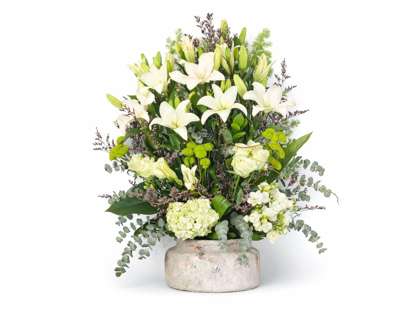 White Rose 20