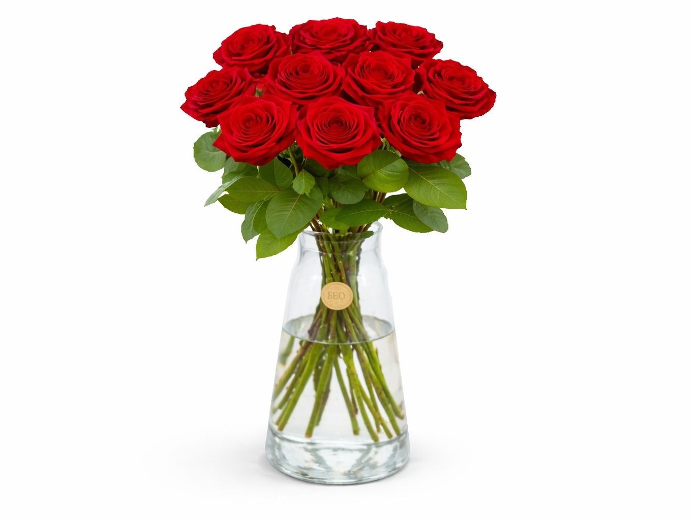 Red Rose 27