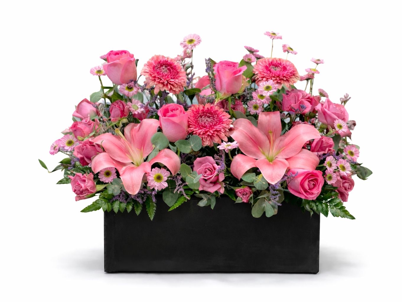 Pink Rose 19