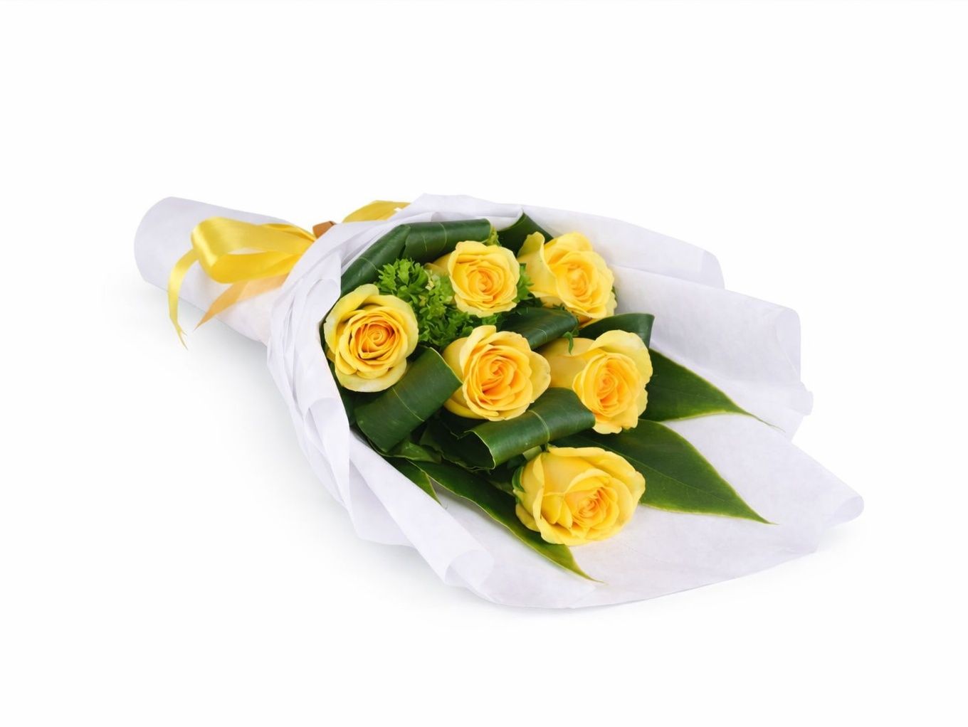 Yellow Rose 1