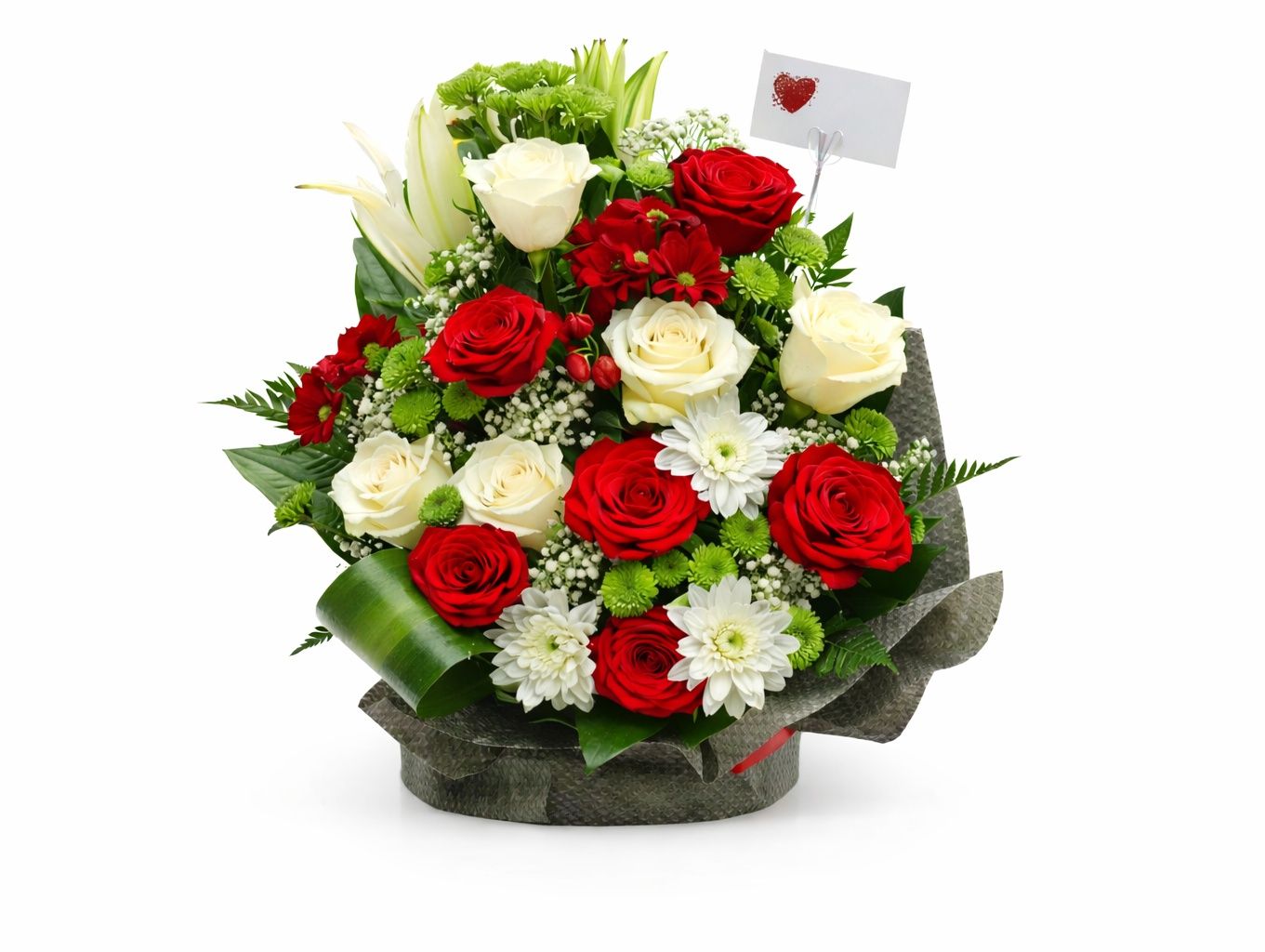 Red Rose 24