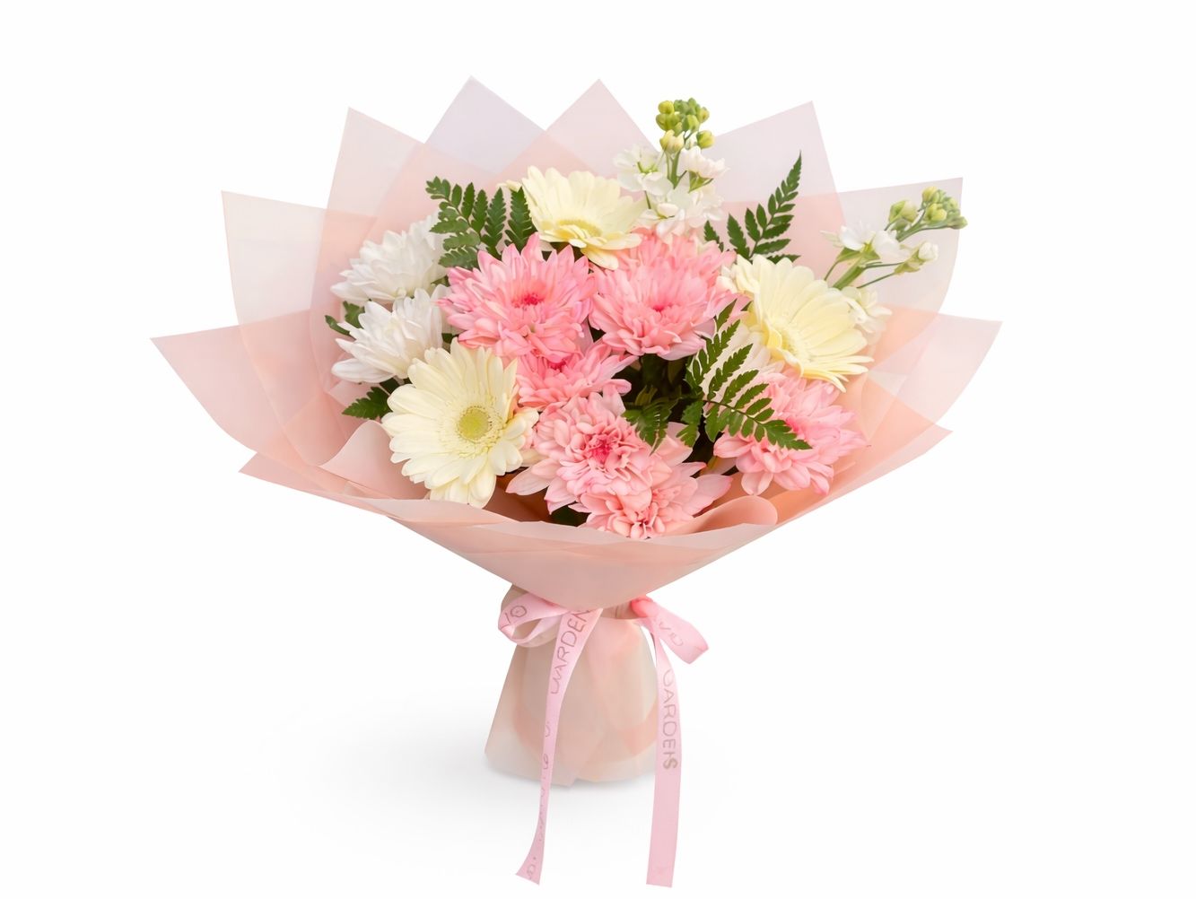 Blush Delight