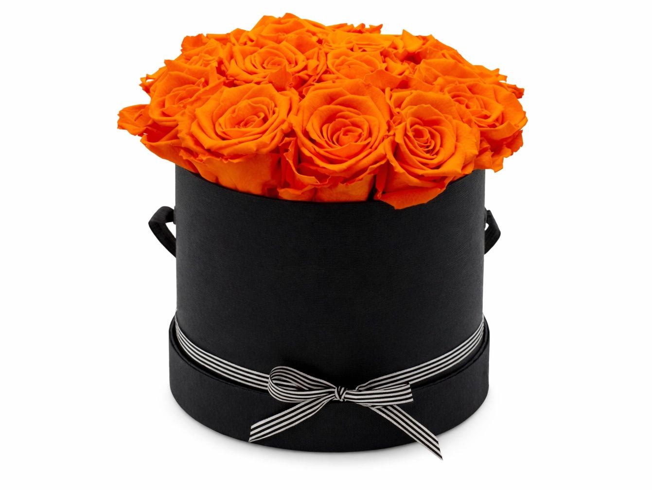 Orange Rose 10