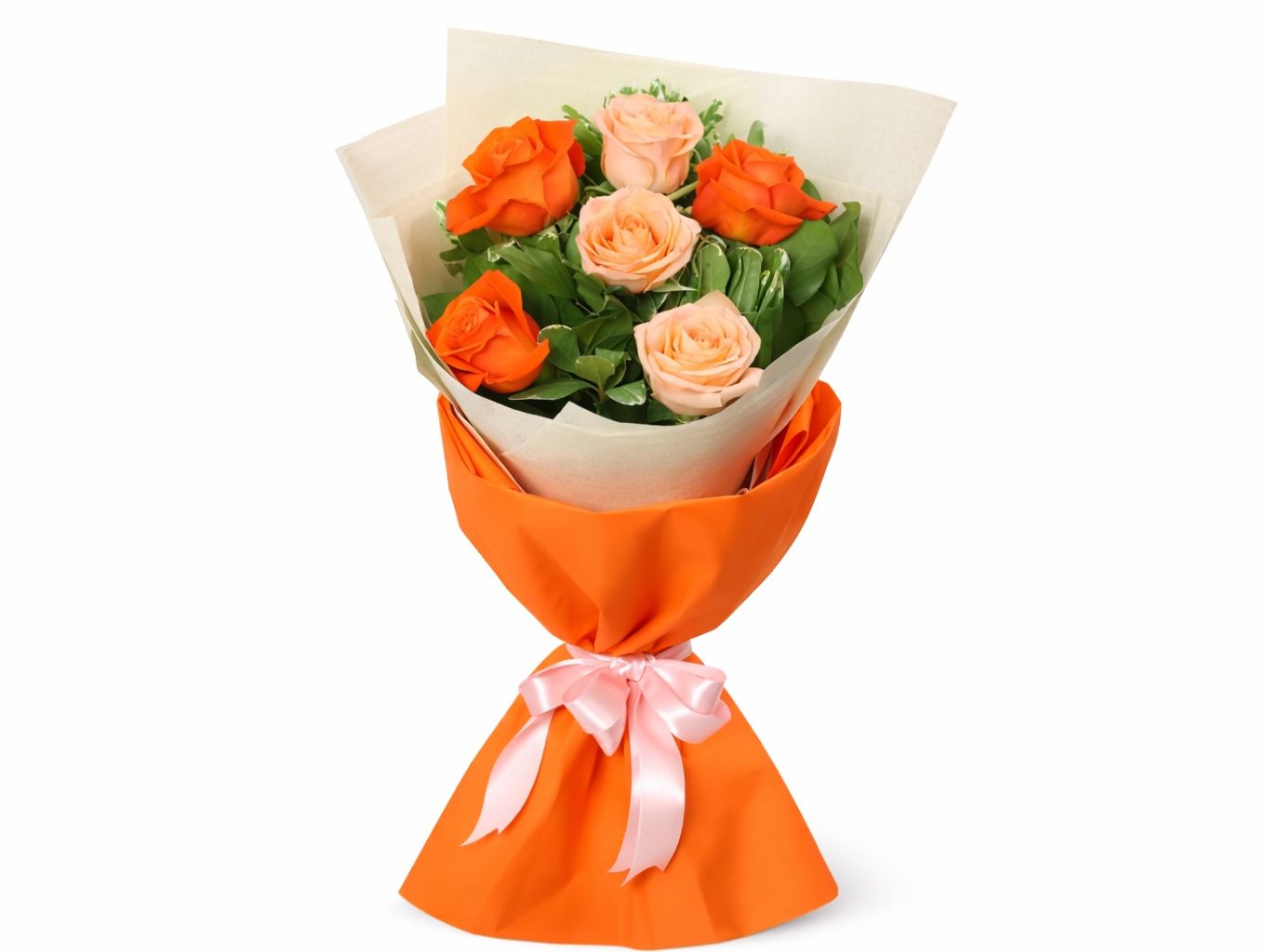 Orange Rose 2