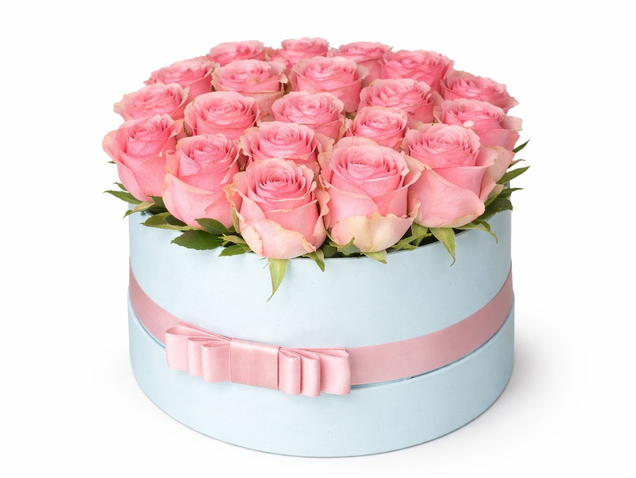 Pink Rose 22