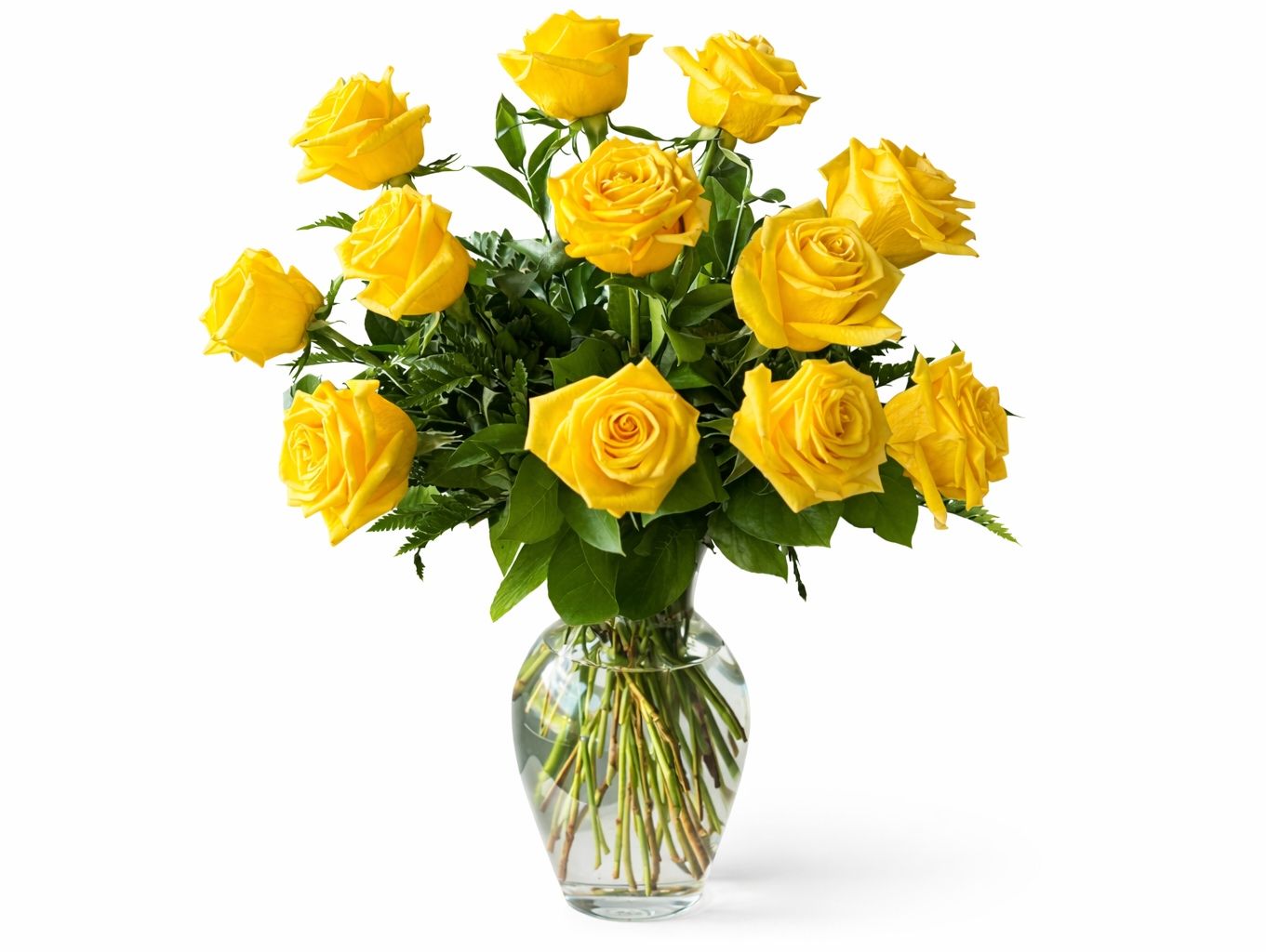 Yellow Rose 2