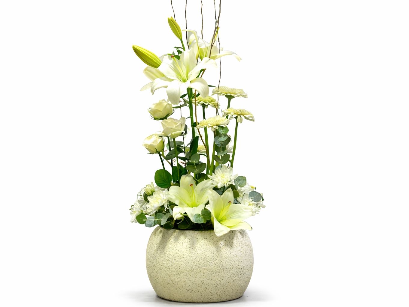 White Rose 18