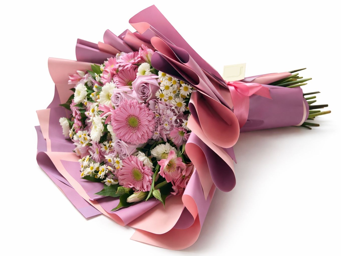 Mix Rose 14
