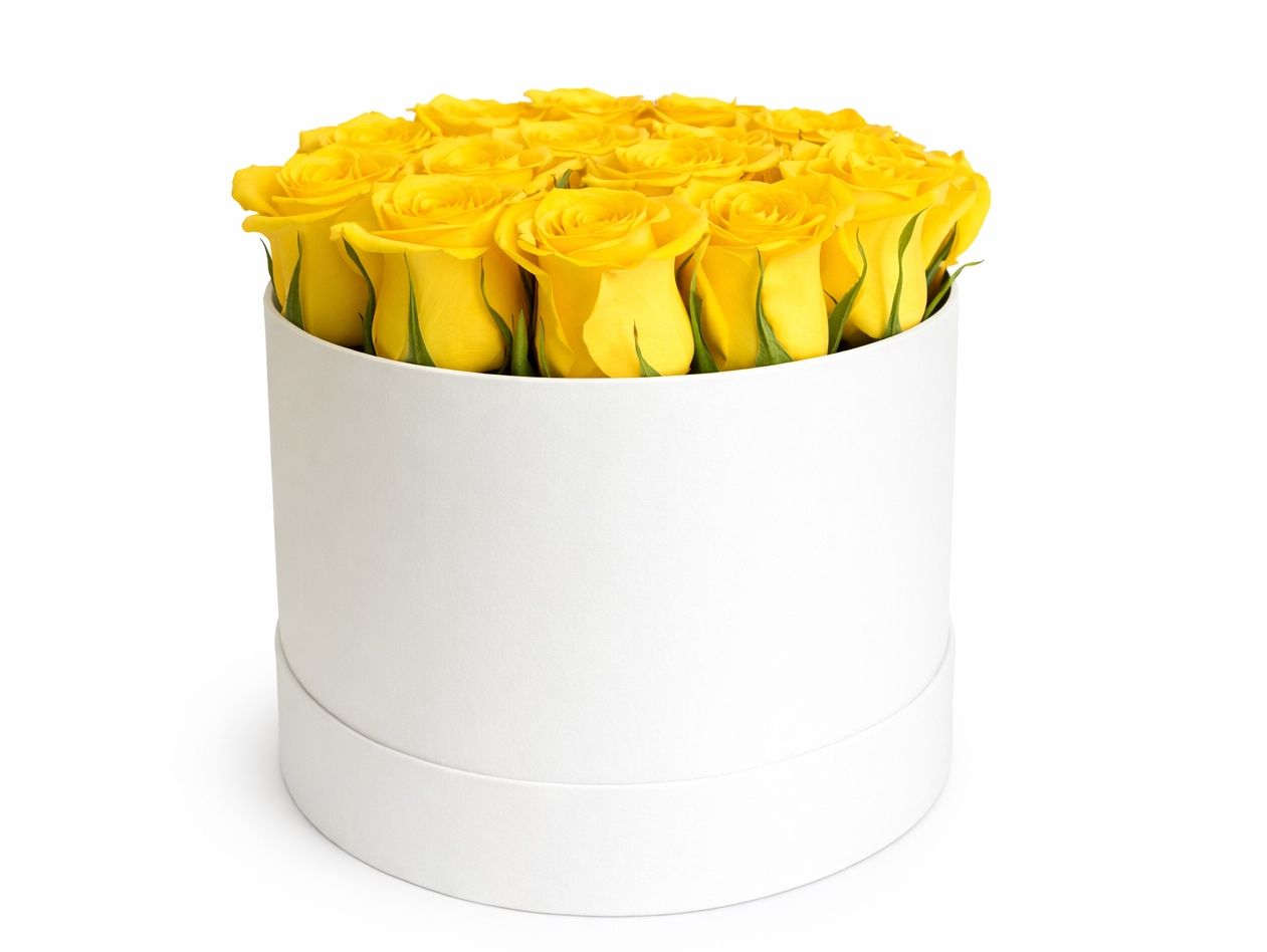 Yellow Roses 4