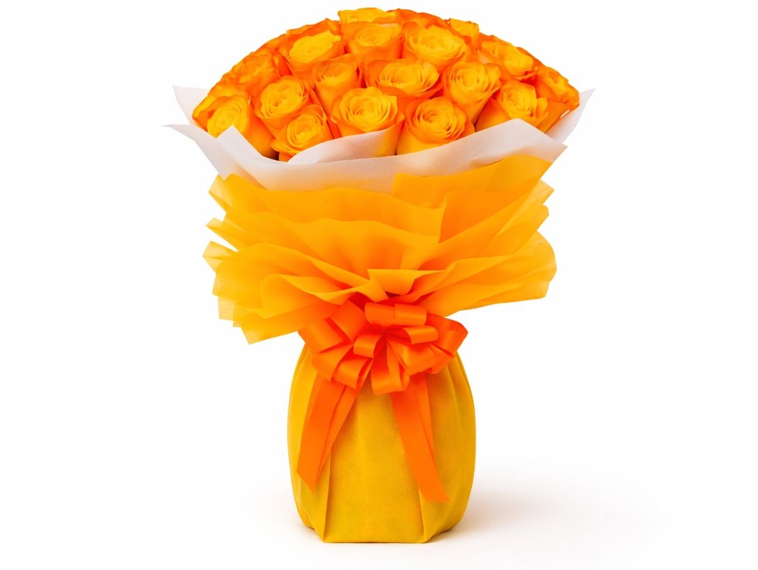 Orange Rose 11
