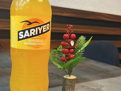 Sarıyer Portakal (1 L.)