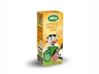 Muzlu Süt (18 cl.)