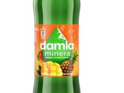 Damla Mango & Ananas Soda (20 cl.)