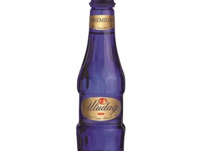 Uludağ Premium Maden Suyu (20 cl.)