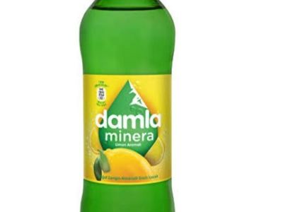 Damla Limonlu Soda (20 cl.)