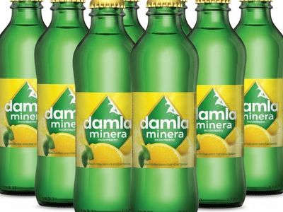 Meyveli Soda (20 cl.)