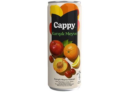 Cappy Karışık (33 cl.)