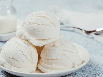 Sade Dondurma (1 Adet)