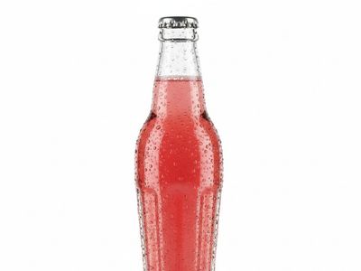 Karpuzlu Soda (20 cl.)