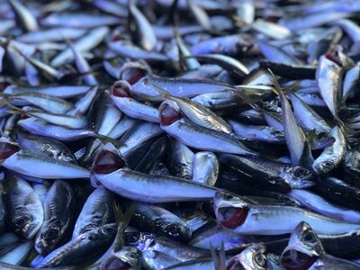 İstavrit (1 kg.) (Pişirilmemiş)