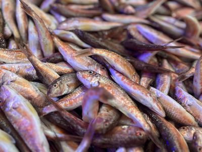 Barbun (1 kg.) (Pişirilmemiş)