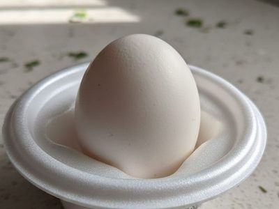 Haşlanmış Yumurta (1 Adet)
