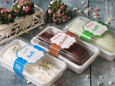 Çikolatalı Vanilyalı Dondurma (480 gr.)