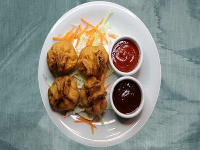 Çıtır Çin Mantısı (4 Adet)